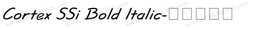Cortex SSi Bold Italic字体转换
